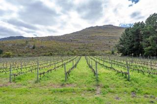 9 Bedroom Property for Sale in Stanford Western Cape